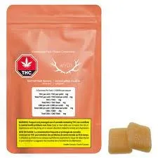 Wyld Wyld - Peach 5:1 CBD:THC 2 x 4g Soft Chews 8g — Edibles