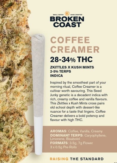 Coffee Creamer by Broken Coast - Pre-Rolls