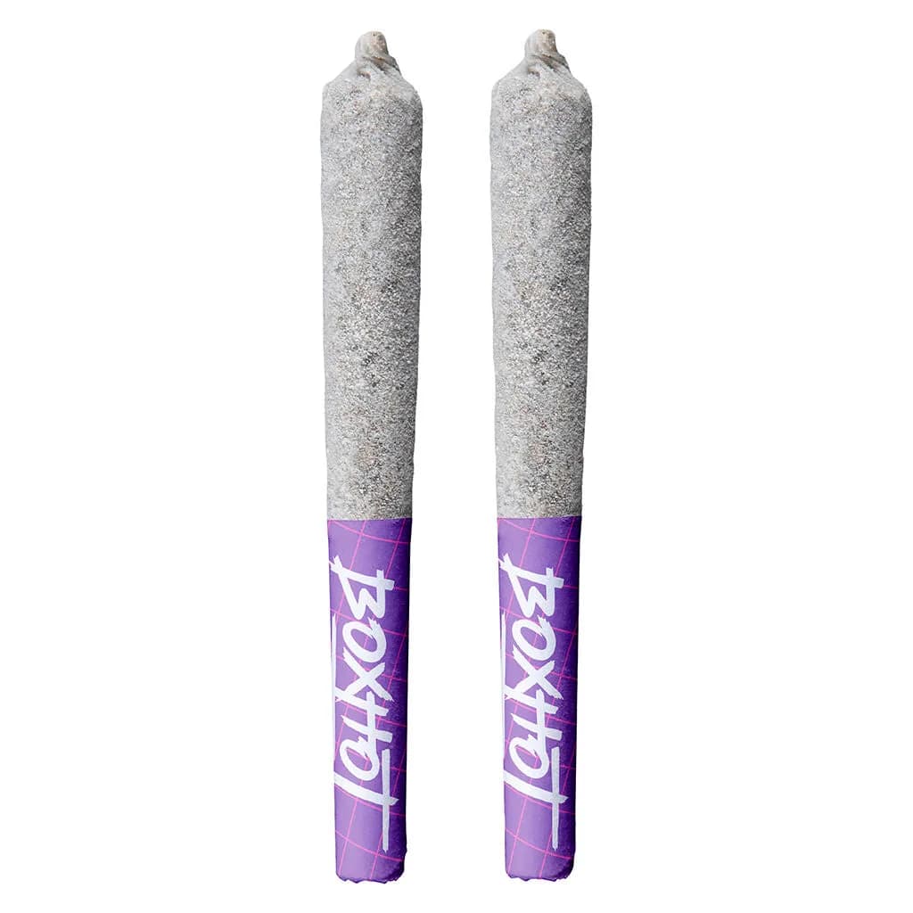 BOXHOT BOXHOT - Watermelon G 2 x 0.5g Infused Pre-Rolls 1g — Infused Pre-Rolls
