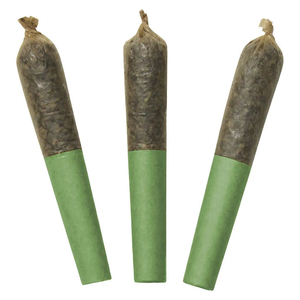 Dab Bods Dab Bods - Tropical Burst 60's+ 3 x 0.5g Dbl Infused Pre-Rolls 1.5g — Infused Pre-Rolls