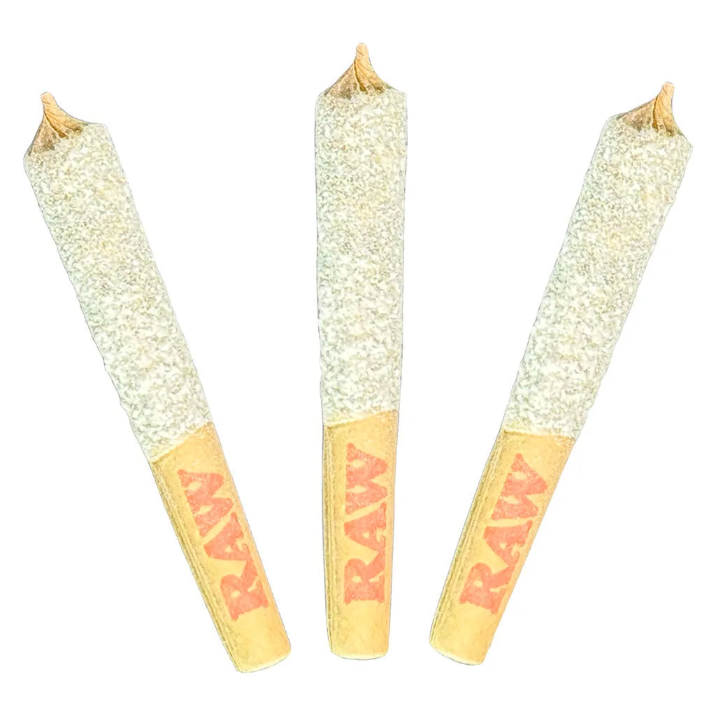 Dab Bods Dab Bods - Purple Elephant 50's+ 3 x 0.5g Triple Infused Pre-Rolls 1.5g — Infused Pre-Rolls