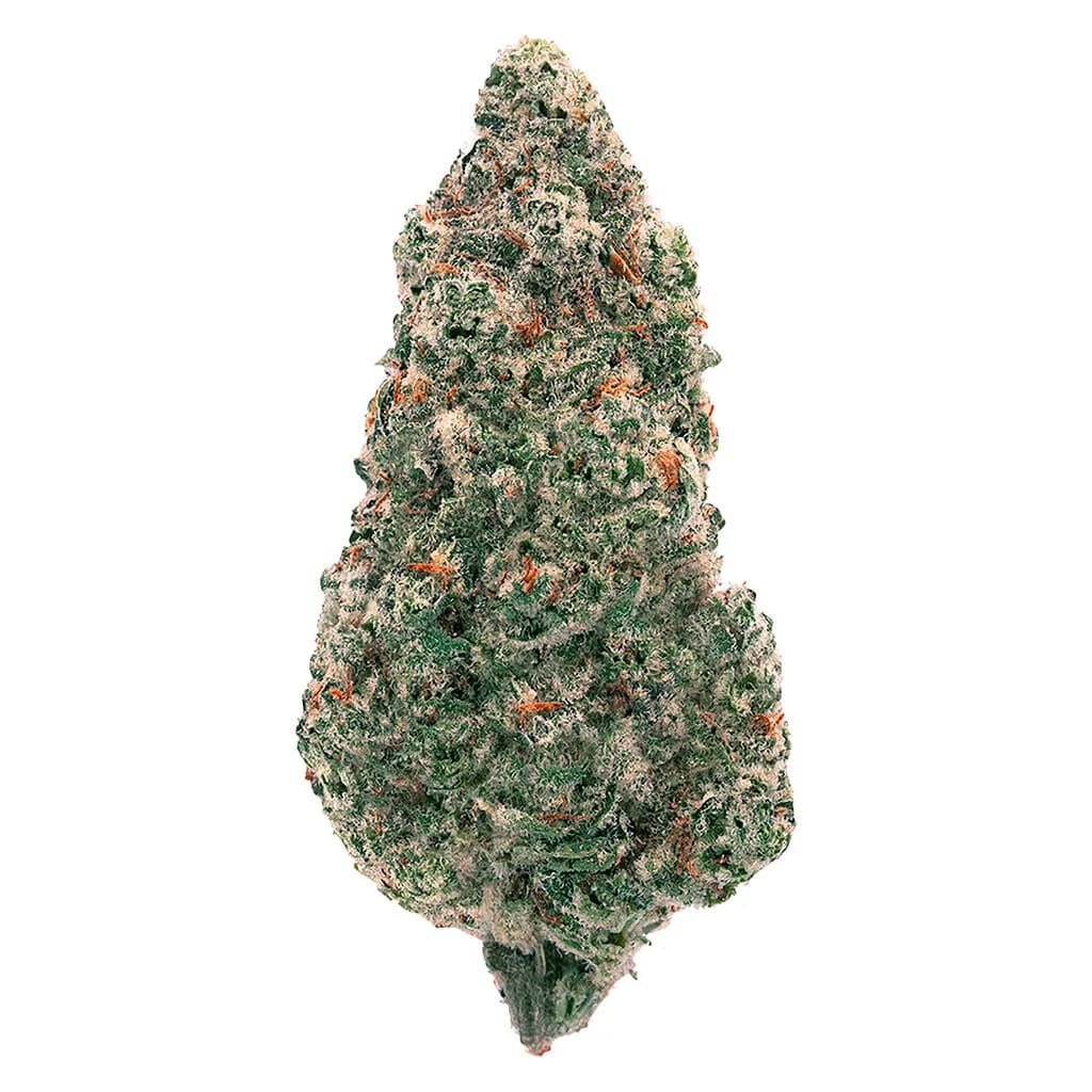 Back Forty Back Forty - Mandarin Cookies 7g Dried Flower 7g — Flower