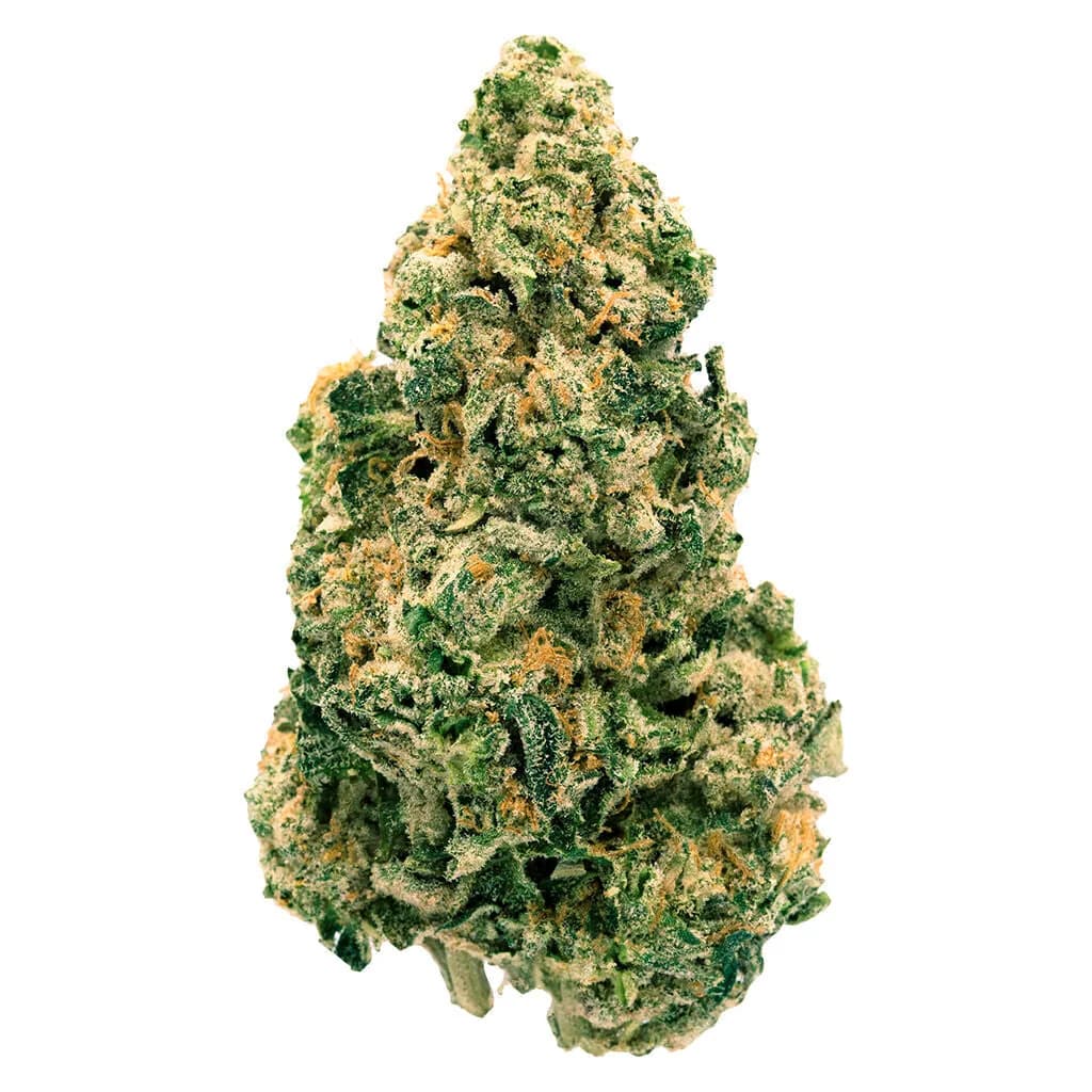 Back Forty Galactic Jack 28g — Flower