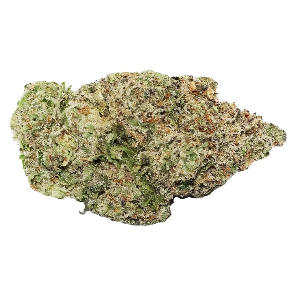 Violet Tourist Sunflower 7g Dried Flower 7g — Flower