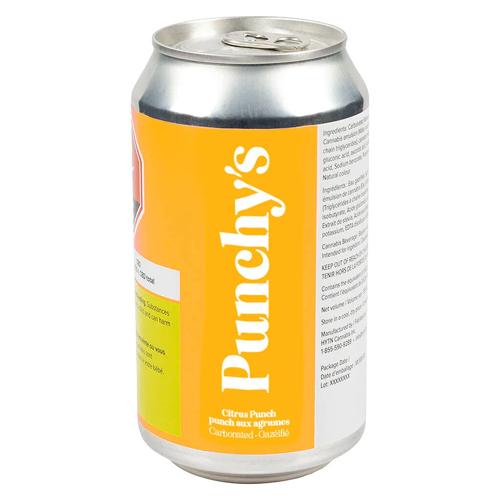 Punchys Punchys - Citrus Punch 355ml Beverage 355g — Beverages