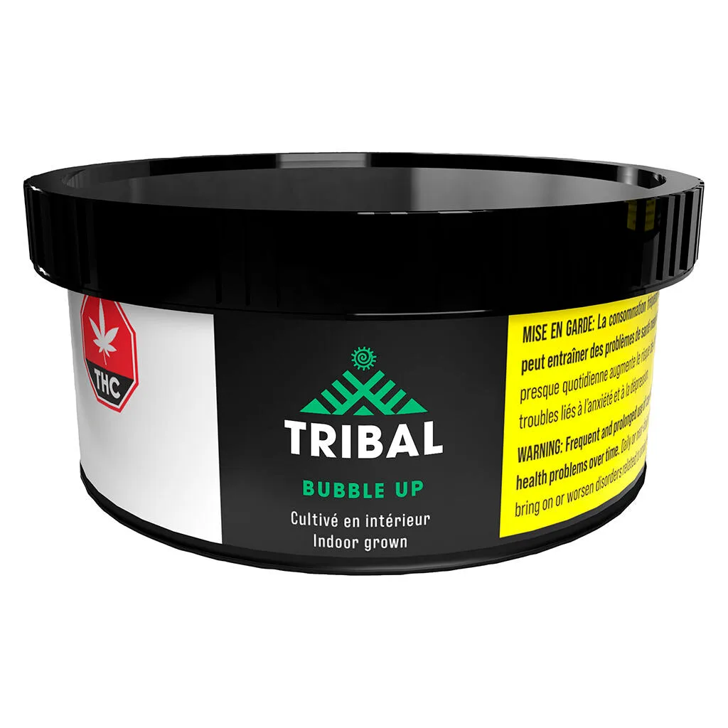 Tribal Tribal - Bubble Up 3.5g Dried Flower 3.5g — Flower