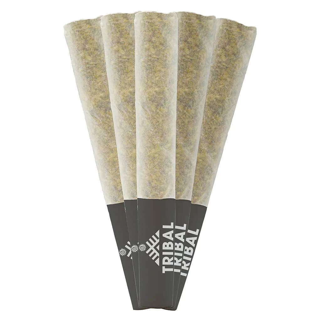 Tribal Tribal - Bubble Up 5 x 0.5g Pre-Rolls 2.5g — Pre-Rolls