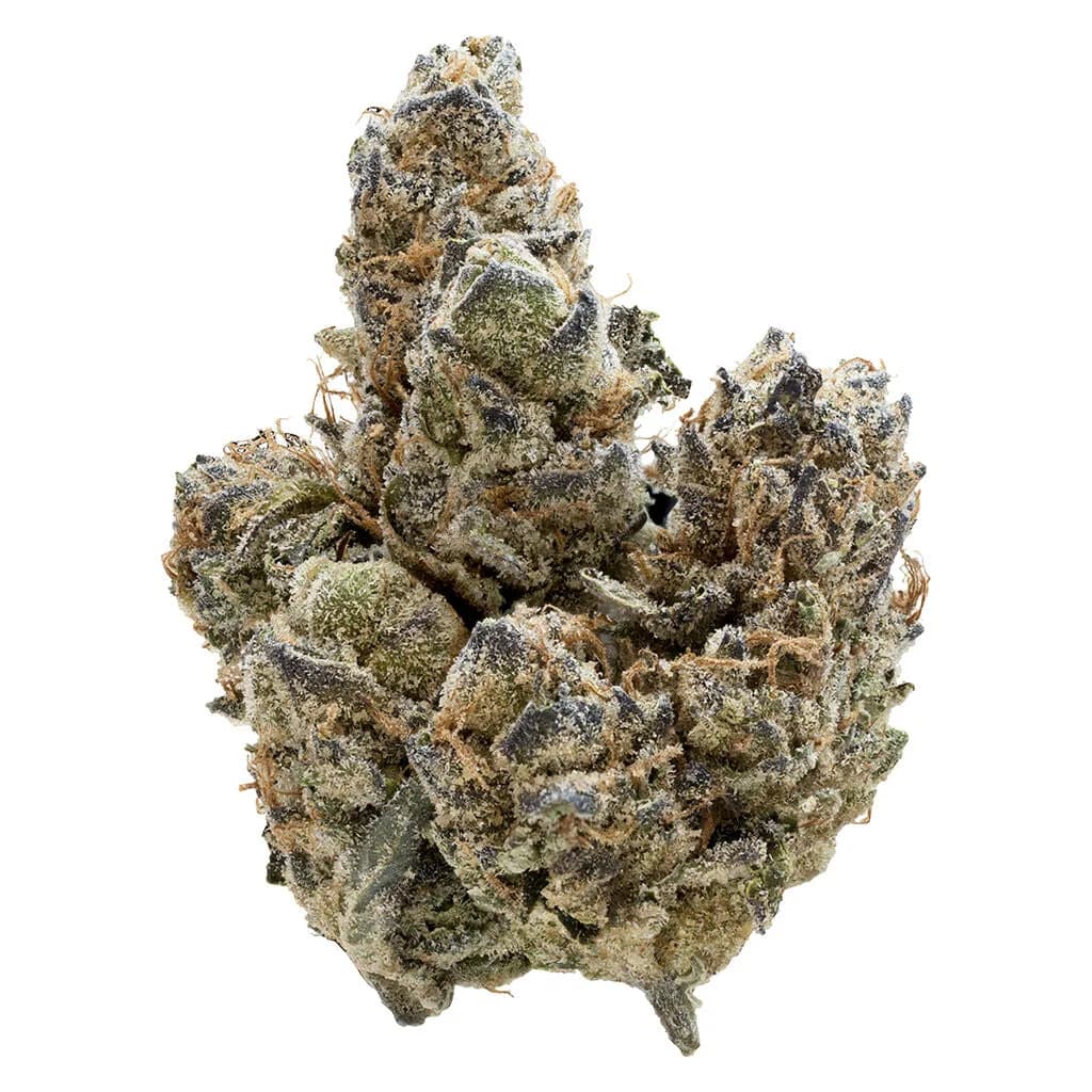 Nugz Nugz - Florida Oranges 7g Dried Flower 7g — Flower