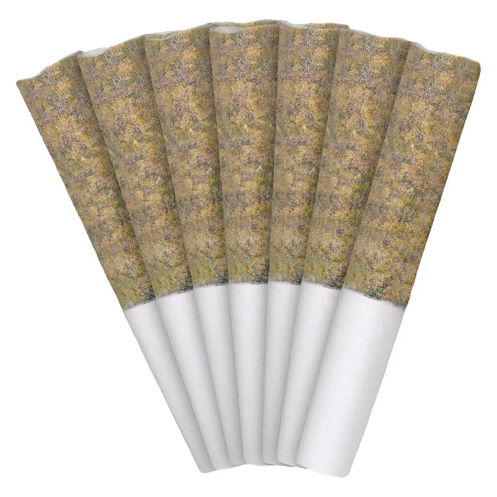 Nugz Nugz - Florida Oranges 7 x 0.5g Pre-Rolls 3.5g — Pre-Rolls