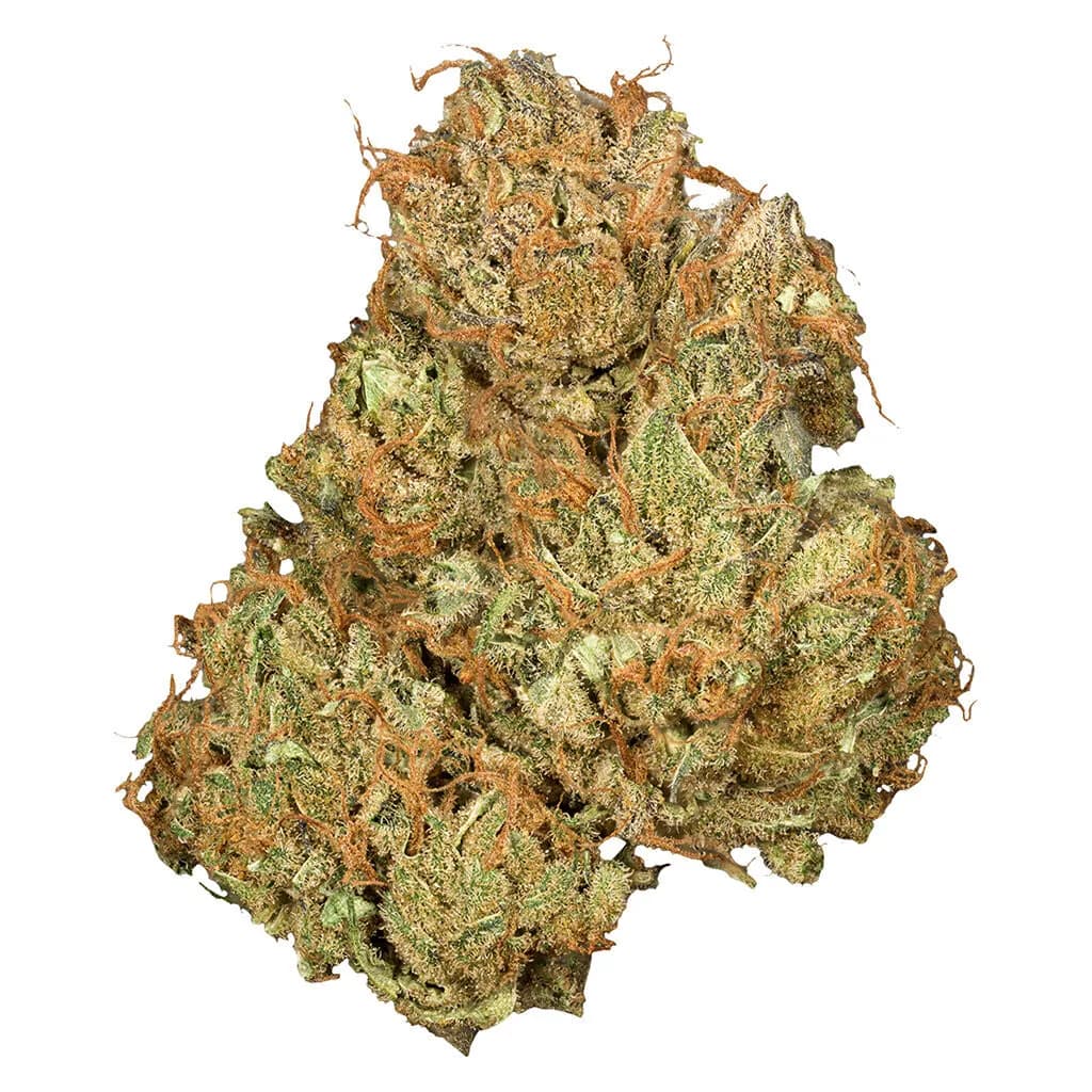 Orchid CBD Jean Guy CBD 3.5g — Flower