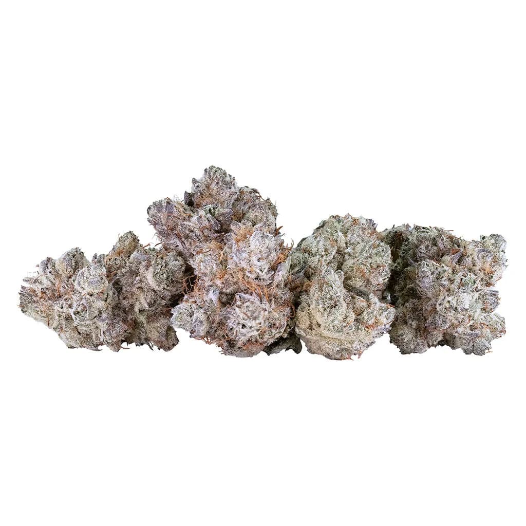 Tribal Neon Sunshine 14g — Flower