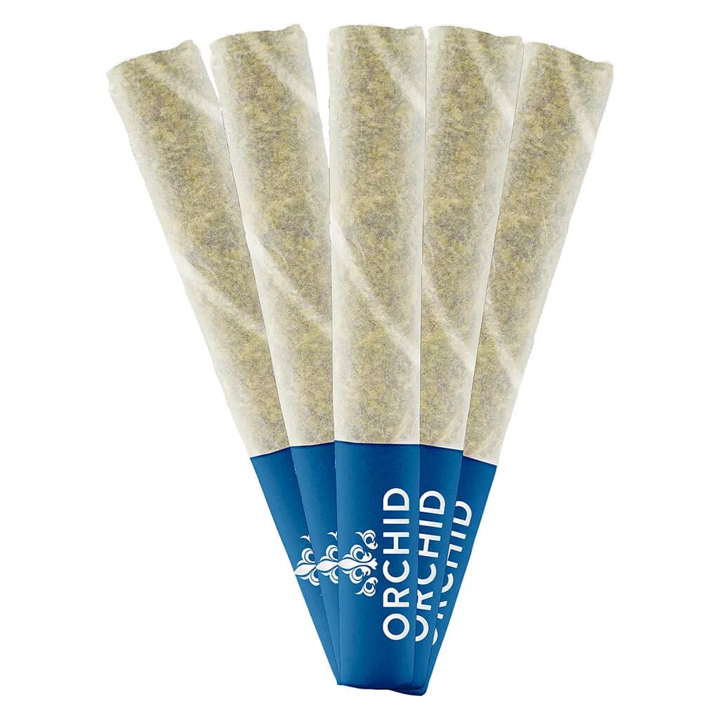 Orchid Orchid - Jean Guy CBD 5 x 0.5g Pre-Rolls 2.5g — Pre-Rolls