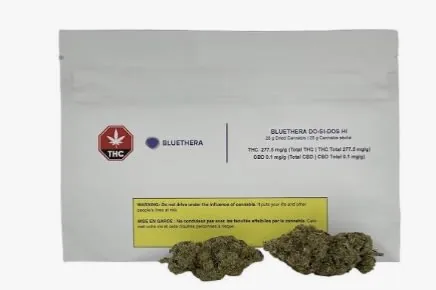 BlueThera BlueThera - Do-Si-Dos Hi 28g Dried Flower 28g — Flower