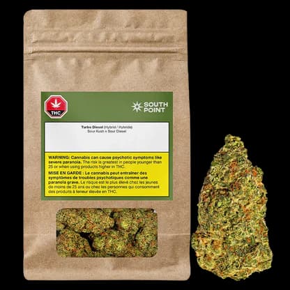 South Point - Turbo Diesel 3.5g Dried Flower by South Point - Flower
